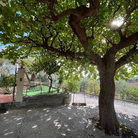 Casa Vinciguerra Villa Giardini Naxos Exteriör bild